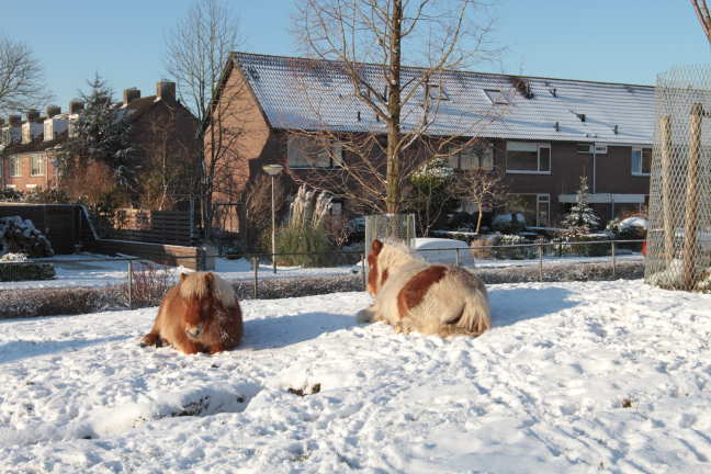 Even buiten gelunched met de 7D