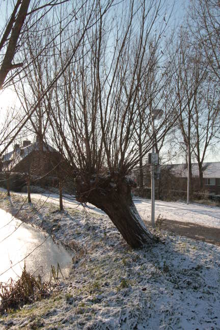 Even buiten gelunched met de 7D