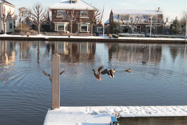 Even buiten gelunched met de 7D