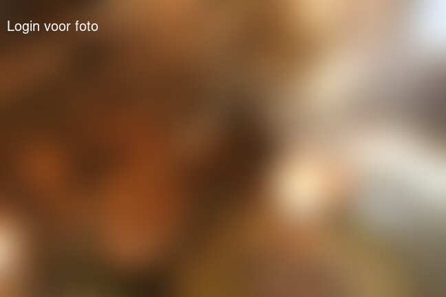 WinterBBQ en meer winterpret