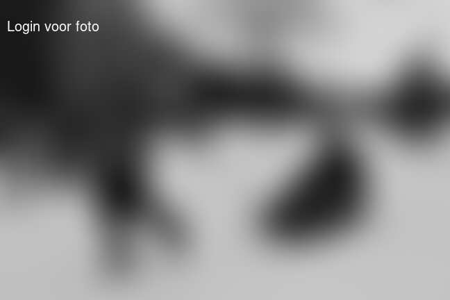 WinterBBQ en meer winterpret