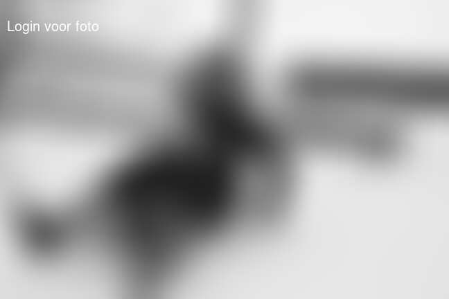 WinterBBQ en meer winterpret