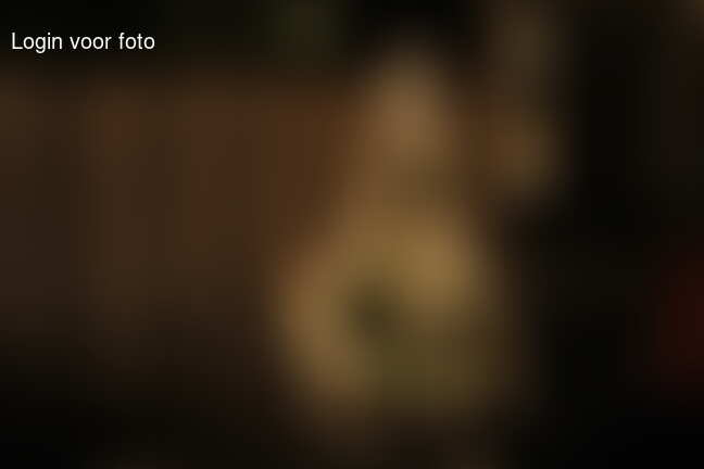 WinterBBQ en meer winterpret