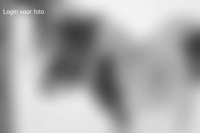 WinterBBQ en meer winterpret