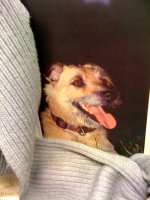 Grijze sjaal on tour!