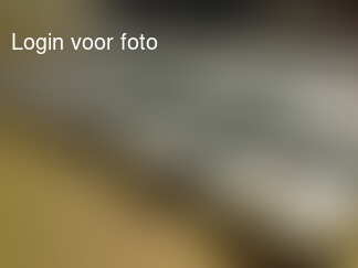 Mathijs schrik je niet af met een slurptax: 14 Hummers!