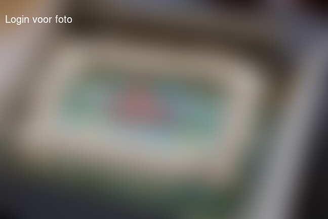 Bijna 3...wel alvast gevierd!