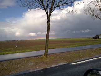 Aparte regenboog net