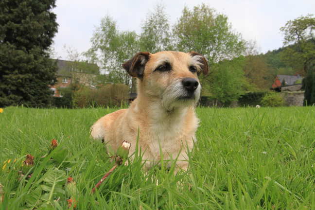 Nog wat plaatjes van een lekker weekend