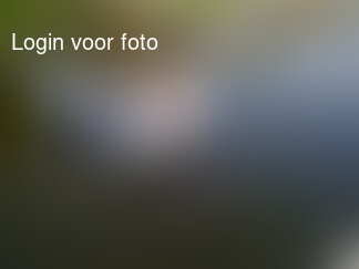 en dan nog in de zodiac