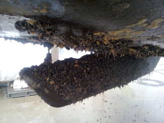 Bootje uit het water