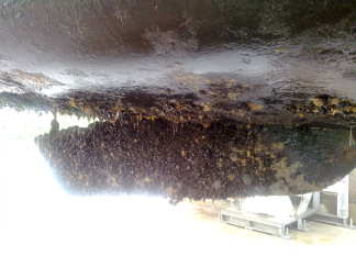 Bootje uit het water