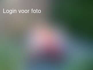 Gezellig etentje op de buitenkeuken...