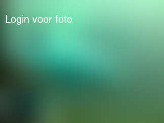 Nog een paar Dolfinarium plaatjes