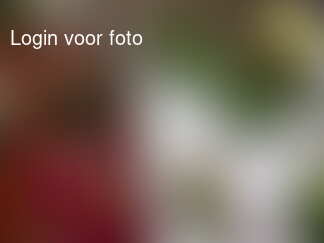 nu nog bloemschikken