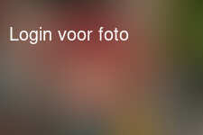 Heerlijk bezoek aan opa en oma in Ardennen