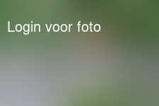 Heerlijk bezoek aan opa en oma in Ardennen