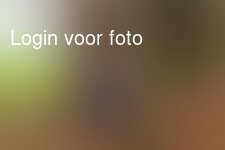 Heerlijk bezoek aan opa en oma in Ardennen