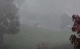 Wat een geweldig uitzicht uit het kantoor deze morgen!