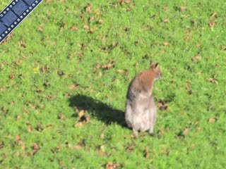 Morgen echt herfstweer