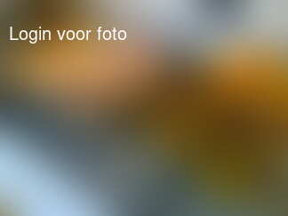 Het feestje gaat beginnen!