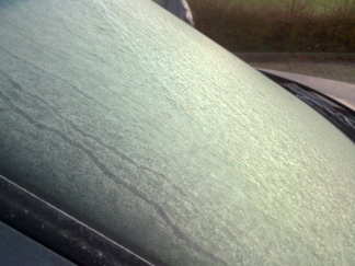 Krabben op het platte land!