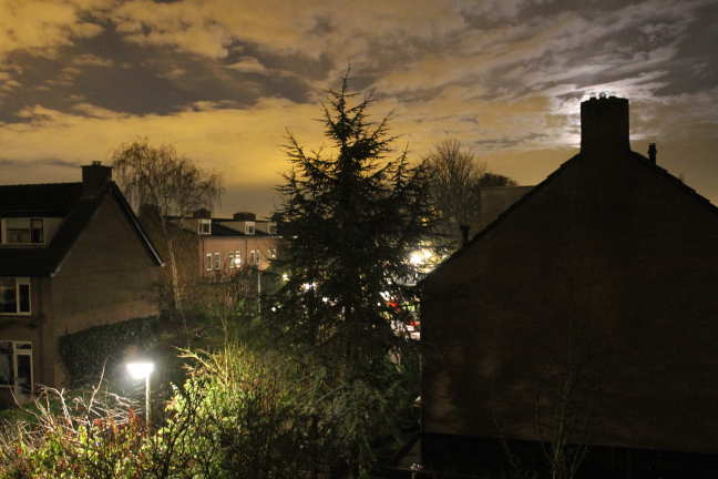 Nadeel van verkoudheid is bij mij dat het eindigt in kriebelhoest.
 Als je dan toch wakker bent kun je wel leuke fotos maken...