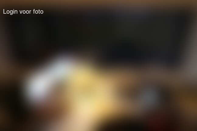 Met mijn mannetje op kantoor