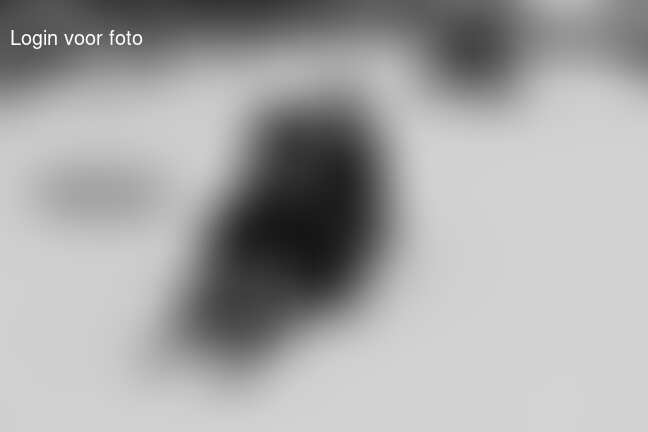 Overzichtje van deze heerlijke sneeuwpretdag!