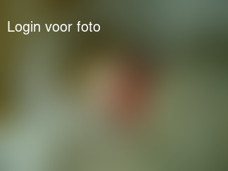 Ziek mannetje slaapt even bij me op kantoor...