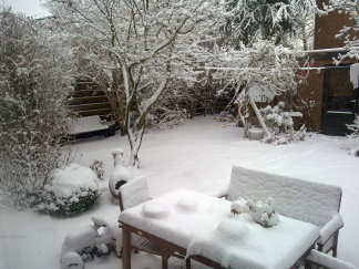 Had nog wat sneeuw besteld voor de winter BBQ morgen