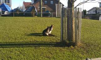 Wat een geweldige dag...heerlijk winterweer!