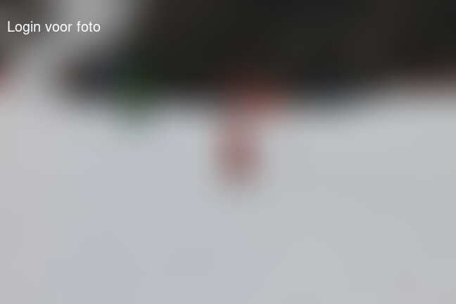 Geen podium maar wel netjes