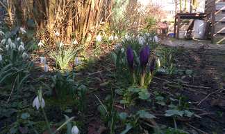 Volgens mij kan de motor op de boot!...blij van!