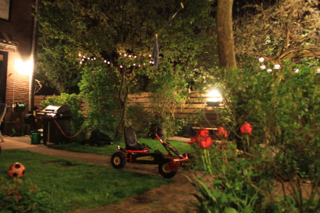 Aardig tevreden aan het worden over de tuin