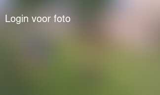 En de kinderen alweer hard aan het werk