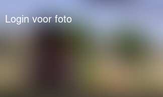 En de kinderen alweer hard aan het werk