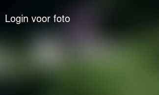 Net haar moeder: ik heb een boek en laat me met rust!