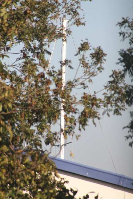 Heerlijk ook dat ik hem vanaf mijn werkplek kan zien!