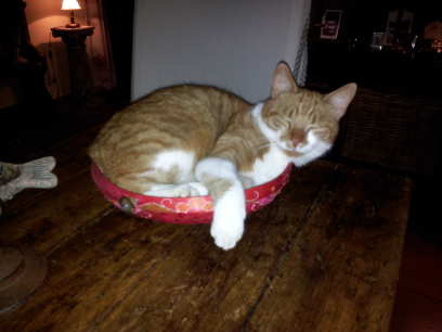 Dat kan ook natuurlijk