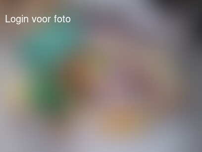 Heerlijk die dag na pakjesavond!