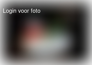 Creativiteit op BSO. Marsepein 