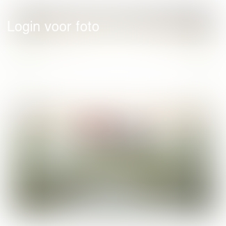 Heerlijk even op het strand,  wel kkkoud 