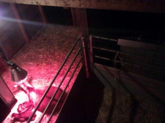 Nog een blik op de kraamkamer cam en dan maar eens naar bed