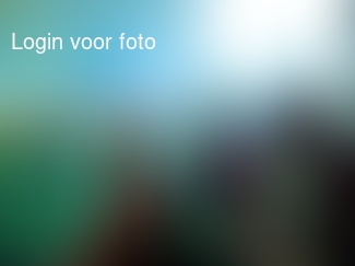 Even uitwaaien op strand werd sea life