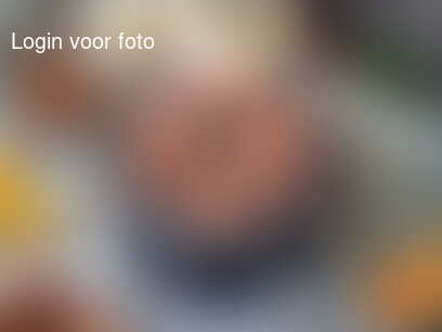 De Meidenparty is begonnen, met sateh van de Cobb