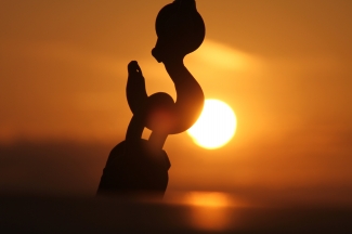 Dat was een mooi dagje op het wad! 