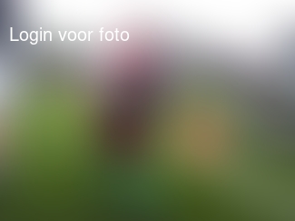 Gelukkig net op tijd uitvergaderd om even te kijken naar mijn mannetje