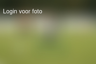 Heerlijk altijd even... Naar de training kijken! 