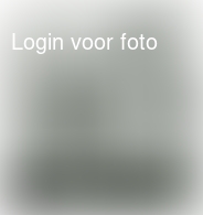 Zo vind ik hem mooier... 